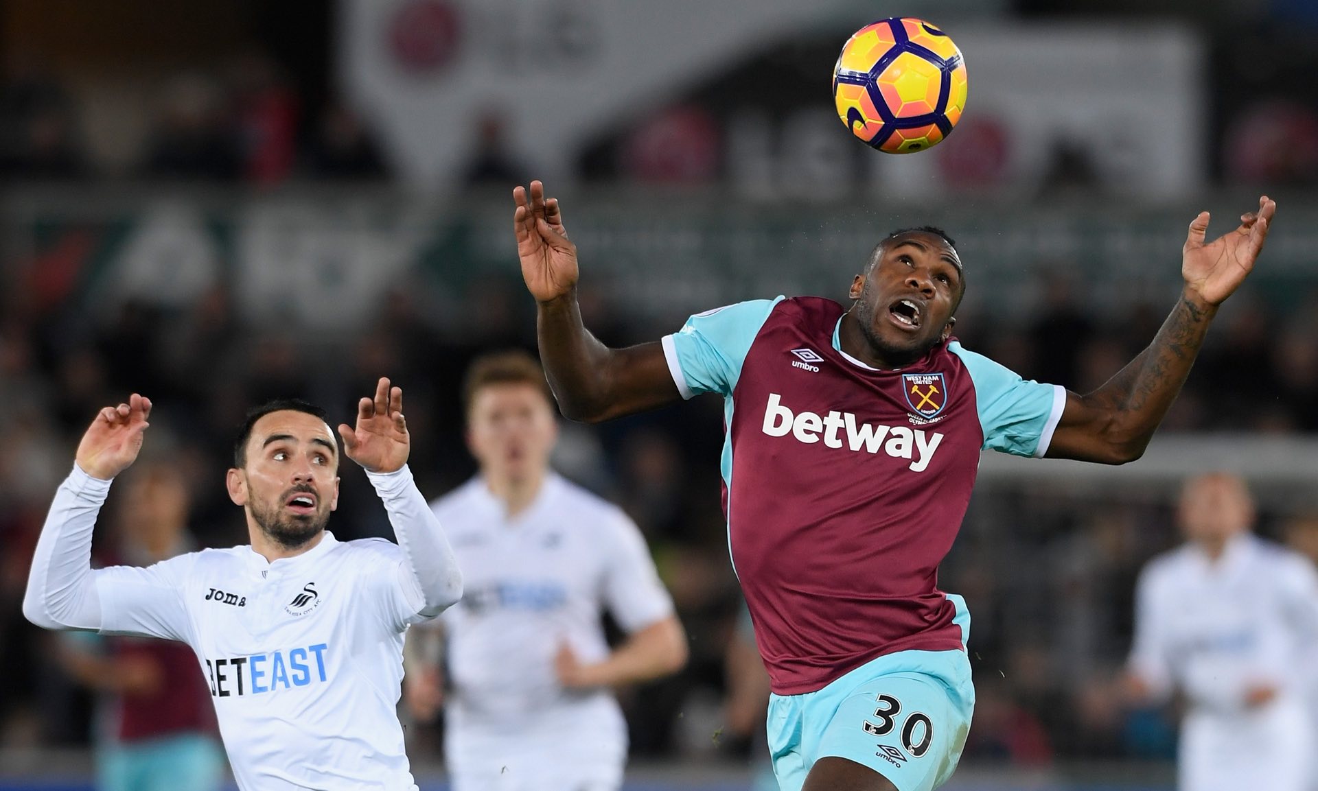 仅展示了维 仅展示了维