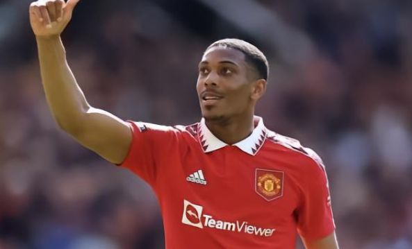 了球迷和业 了球迷和业